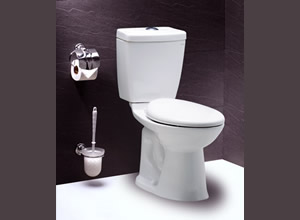 Bệt toilet Caesar CDS 1325