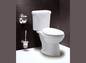 Bệt toilet Caesar CTS1338