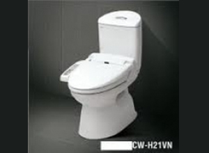 Bệt toilet Inax C 504R CW S11VN
