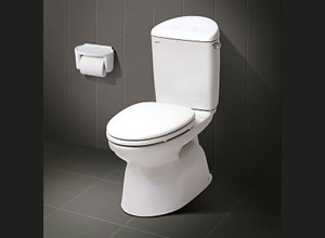 Bệt toilet Inax C 828VRN