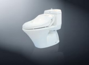 Bệt toilet Inax C 900R CW RS3VN
