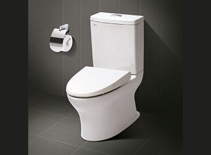 Bệt toilet Inax C 907VN
