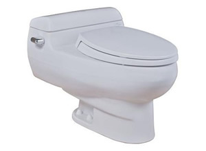 Bệt toilet Toto MS 436R