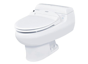 Bệt toilet Toto MS 436RE