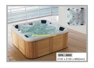Bồn tắm govern spa-9005
